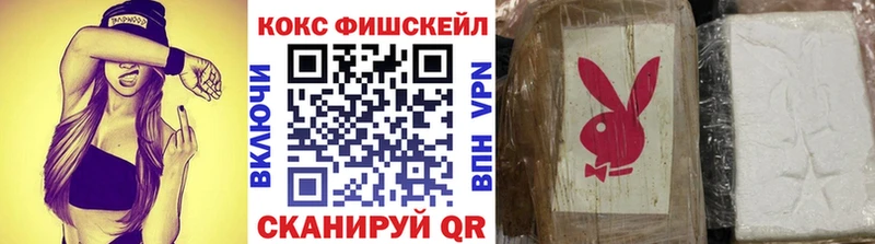 COCAIN Fish Scale  купить   Армянск 