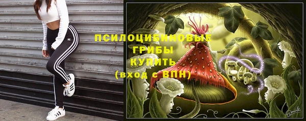 2c-b Балабаново